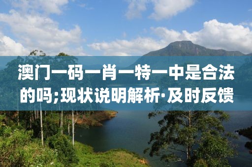澳門一碼一肖一特一中是合法的嗎;現(xiàn)狀說明解析·及時反饋