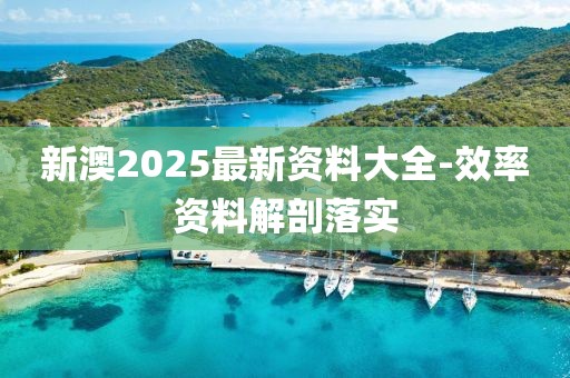 新澳2025最新資料大全-效率資料解剖落實