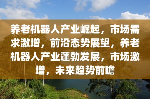 養(yǎng)老機(jī)器人產(chǎn)業(yè)崛起，市場(chǎng)需求激增，前沿態(tài)勢(shì)展望，養(yǎng)老機(jī)器人產(chǎn)業(yè)蓬勃發(fā)展，市場(chǎng)激增，未來(lái)趨勢(shì)前瞻