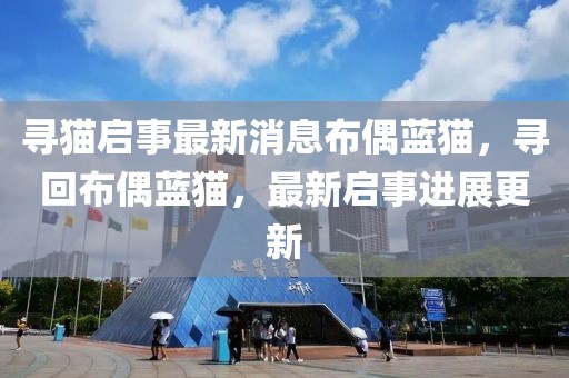 尋貓啟事最新消息布偶藍(lán)貓，尋回布偶藍(lán)貓，最新啟事進(jìn)展更新