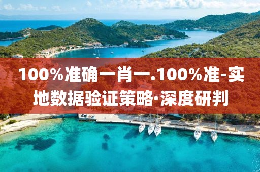 100%準(zhǔn)確一肖一.100%準(zhǔn)-實(shí)地數(shù)據(jù)驗(yàn)證策略·深度研判