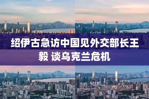 紹伊古急訪中國見外交部長王毅 談烏克蘭危機