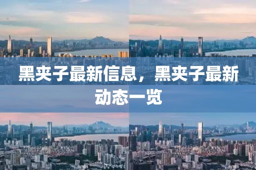 黑夾子最新信息，黑夾子最新動態(tài)一覽