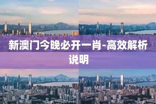 新澳門今晚必開一肖-高效解析說明