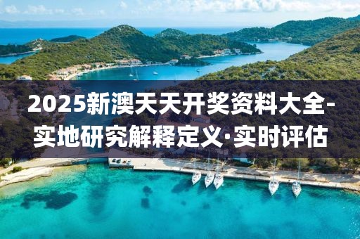 2025新澳天天開獎資料大全-實地研究解釋定義·實時評估