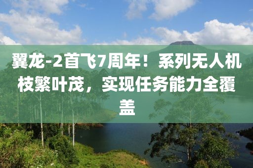 翼龍-2首飛7周年！系列無(wú)人機(jī)枝繁葉茂，實(shí)現(xiàn)任務(wù)能力全覆蓋