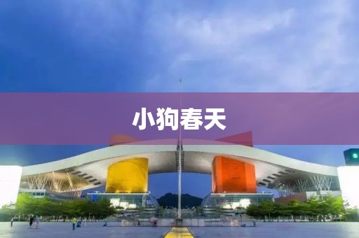 小狗春天