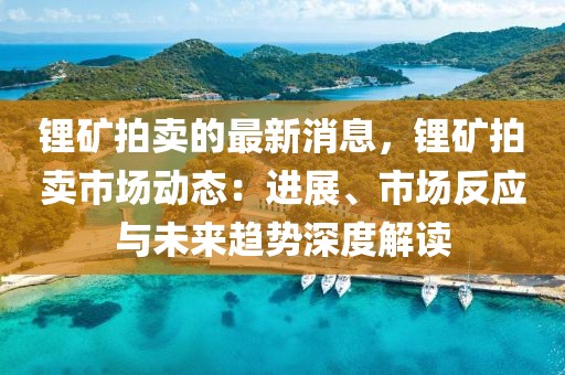 鋰礦拍賣的最新消息，鋰礦拍賣市場動態(tài)：進展、市場反應(yīng)與未來趨勢深度解讀