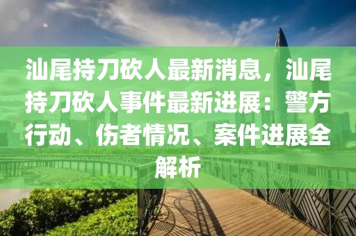 汕尾持刀砍人最新消息，汕尾持刀砍人事件最新進展：警方行動、傷者情況、案件進展全解析