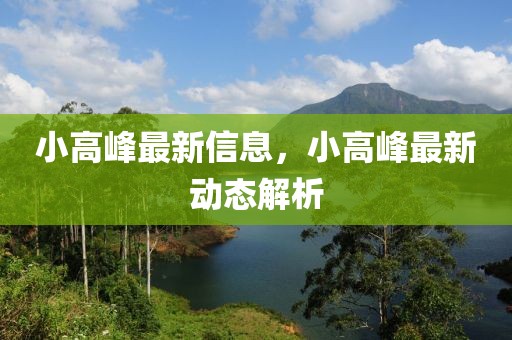 小高峰最新信息，小高峰最新動(dòng)態(tài)解析