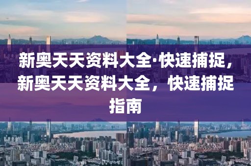 新奧天天資料大全·快速捕捉，新奧天天資料大全，快速捕捉指南