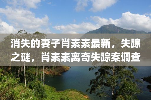 消失的妻子肖素素最新，失蹤之謎，肖素素離奇失蹤案調(diào)查