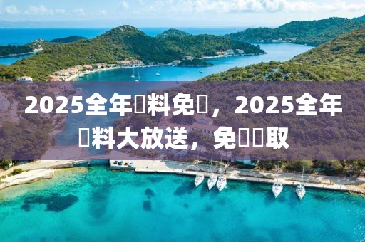 2025全年資料免費，2025全年資料大放送，免費獲取