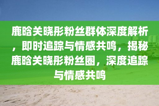 鹿晗關(guān)曉彤粉絲群體深度解析，即時(shí)追蹤與情感共鳴，揭秘鹿晗關(guān)曉彤粉絲圈，深度追蹤與情感共鳴