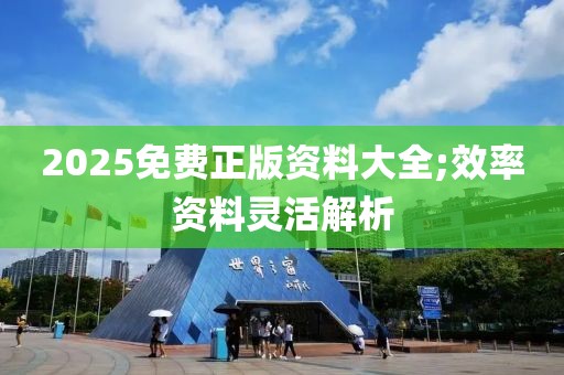 2025免費(fèi)正版資料大全;效率資料靈活解析
