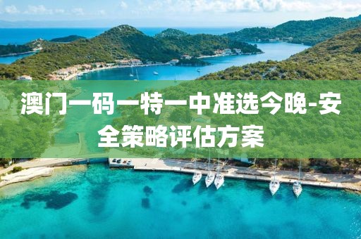 澳門一碼一特一中準(zhǔn)選今晚-安全策略評估方案