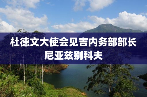杜德文大使會(huì)見吉內(nèi)務(wù)部部長尼亞茲別科夫