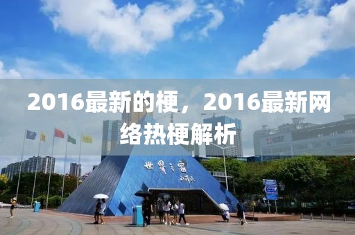 2016最新的梗，2016最新網(wǎng)絡(luò)熱梗解析