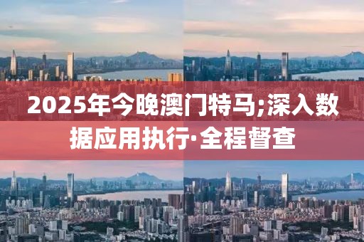 2025年今晚澳門特馬;深入數(shù)據(jù)應(yīng)用執(zhí)行·全程督查