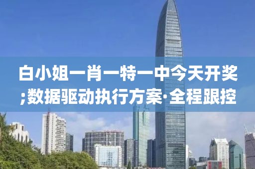 白小姐一肖一特一中今天開獎(jiǎng);數(shù)據(jù)驅(qū)動(dòng)執(zhí)行方案·全程跟控