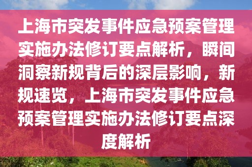 上海市突發(fā)事件應(yīng)急預(yù)案管理實(shí)施辦法修訂要點(diǎn)解析，瞬間洞察新規(guī)背后的深層影響，新規(guī)速覽，上海市突發(fā)事件應(yīng)急預(yù)案管理實(shí)施辦法修訂要點(diǎn)深度解析