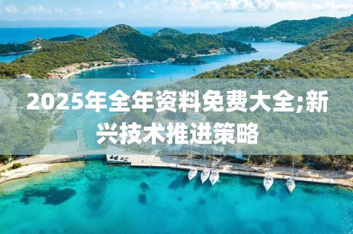 2025年全年資料免費大全;新興技術推進策略