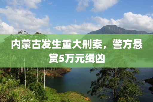 2025年3月4日 第2頁(yè)