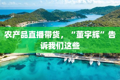 農(nóng)產(chǎn)品直播帶貨，“董宇輝”告訴我們這些