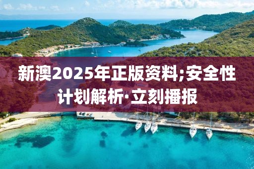 新澳2025年正版資料;安全性計劃解析·立刻播報