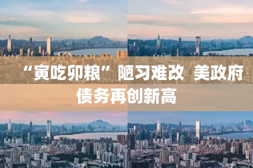 “寅吃卯糧”陋習(xí)難改  美政府債務(wù)再創(chuàng)新高