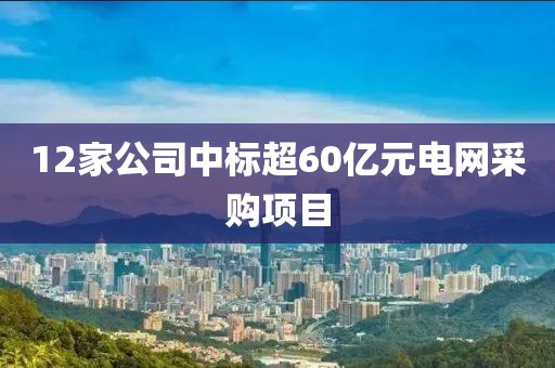 12家公司中標(biāo)超60億元電網(wǎng)采購項目
