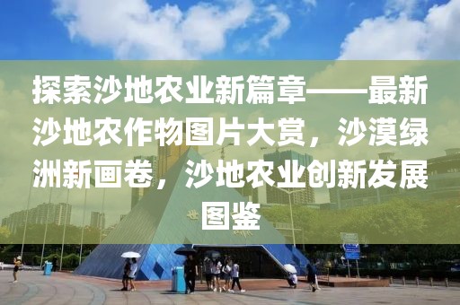 探索沙地農(nóng)業(yè)新篇章——最新沙地農(nóng)作物圖片大賞，沙漠綠洲新畫卷，沙地農(nóng)業(yè)創(chuàng)新發(fā)展圖鑒
