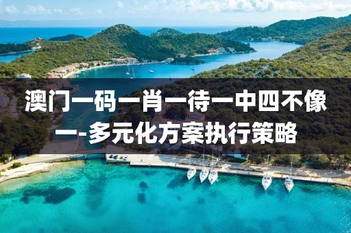 澳門一碼一肖一待一中四不像一-多元化方案執(zhí)行策略