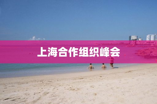 上海合作組織峰會