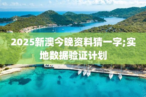 2025新澳今晚資料猜一字;實地數(shù)據(jù)驗證計劃