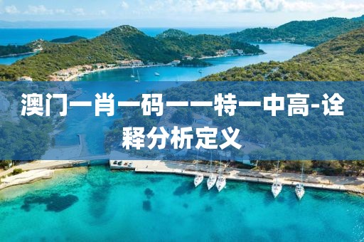 澳門一肖一碼一一特一中高-詮釋分析定義