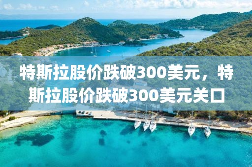 特斯拉股價跌破300美元，特斯拉股價跌破300美元關(guān)口