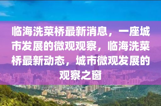 臨海洗菜橋最新消息，一座城市發(fā)展的微觀觀察，臨海洗菜橋最新動(dòng)態(tài)，城市微觀發(fā)展的觀察之窗