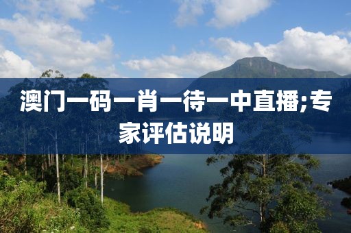 澳門(mén)一碼一肖一待一中直播;專家評(píng)估說(shuō)明