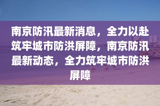 南京防汛最新消息，全力以赴筑牢城市防洪屏障，南京防汛最新動態(tài)，全力筑牢城市防洪屏障