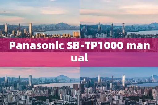 Panasonic SB-TP1000 manual