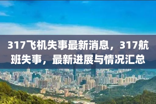 317飛機失事最新消息，317航班失事，最新進展與情況匯總