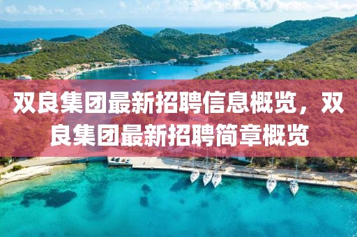 雙良集團最新招聘信息概覽，雙良集團最新招聘簡章概覽