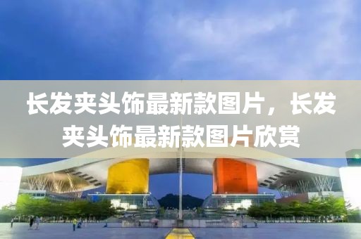 長(zhǎng)發(fā)夾頭飾最新款圖片，長(zhǎng)發(fā)夾頭飾最新款圖片欣賞
