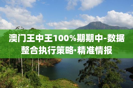 澳門王中王100%期期中-數(shù)據(jù)整合執(zhí)行策略·精準(zhǔn)情報(bào)
