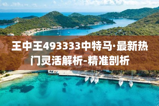 王中王493333中特馬·最新熱門靈活解析-精準(zhǔn)剖析