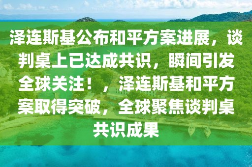 澤連斯基公布和平方案進(jìn)展，談判桌上已達(dá)成共識，瞬間引發(fā)全球關(guān)注！，澤連斯基和平方案取得突破，全球聚焦談判桌共識成果