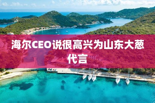 海爾CEO說很高興為山東大蔥代言