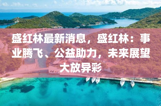 盛紅林最新消息，盛紅林：事業(yè)騰飛、公益助力，未來展望大放異彩