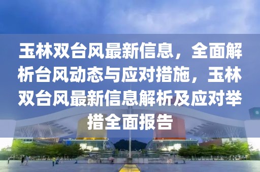玉林雙臺風(fēng)最新信息，全面解析臺風(fēng)動態(tài)與應(yīng)對措施，玉林雙臺風(fēng)最新信息解析及應(yīng)對舉措全面報告